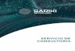 SERVICIO DE CONSULTORÍA 2021 - Sariki