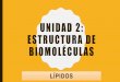 UNIDAD 2: ESTRUCTURA DE BIOMOLÉCULAS