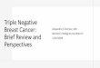 Triple Negative Breast Cancer: Brief Review and Perspectives