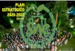 PLAN 1 ESTRATÉGICO 2020-2022 - SNE