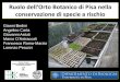 Ruolo dell’Orto Botanico di Pisa nella conservazione di 