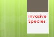Invasive Species - kansas4-h.org