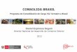CONSOLIDA BRASIL - SIICEX