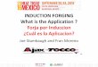 INDUCTION FORGING What is the Application ? Forja por 