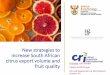 New strategies to increase South African citrus export 